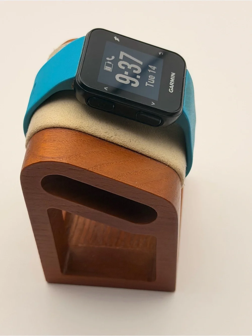 Garmin Forerunner 30, Tested, Blue & Black, Charger included, very good